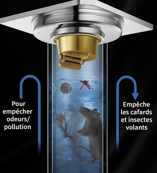 Mauvaises odeurs ou insectes qui remontent par vos évacuations ? Protégez votre maison dès aujourd’hui. »